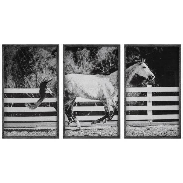 Uttermost Galloping Forward Equine Prints, Set 3 By Casagear Home Online Hot Sale